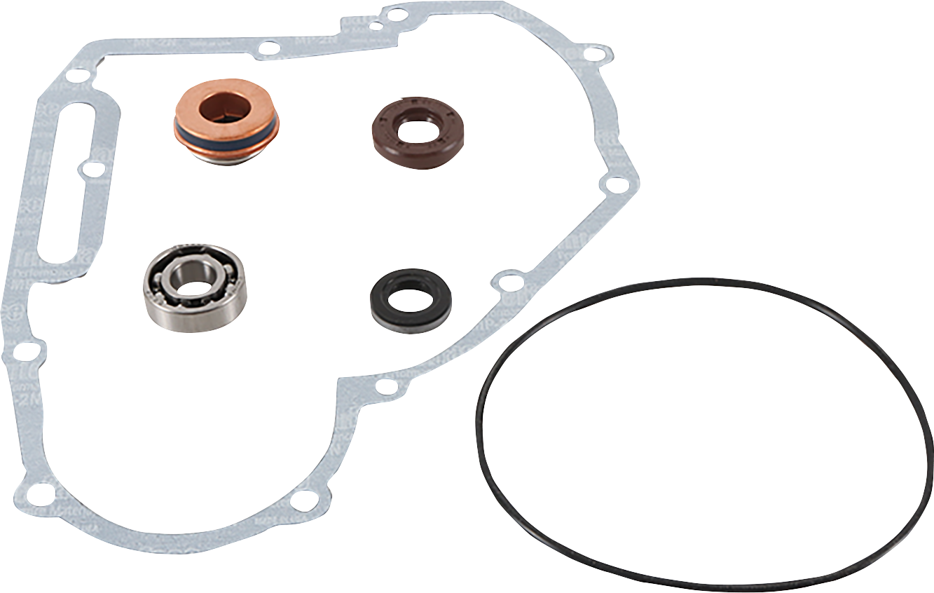 VERTEX Water Pump Repair Kit - Polaris 821891