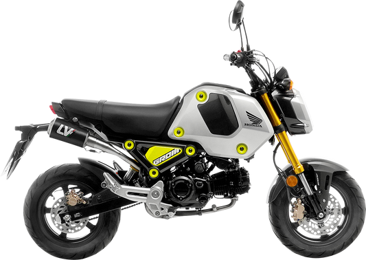 LEOVINCE LV-10 Exhaust - Carbon Fiber 15253CU