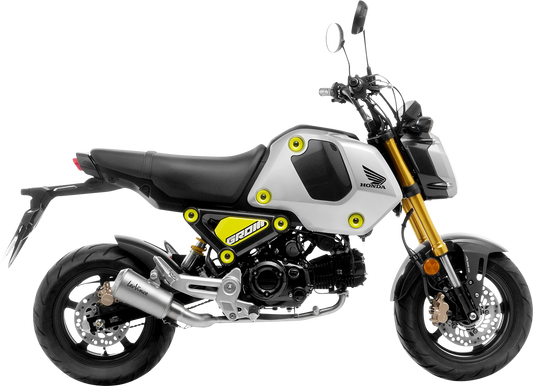 LEOVINCE LV-10 Exhaust - Stainless Steel 15252U