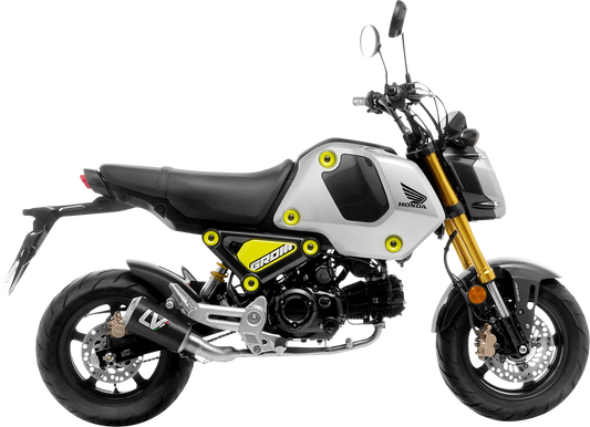 LEOVINCE LV-10 Exhaust - Carbon Fiber 15252CU