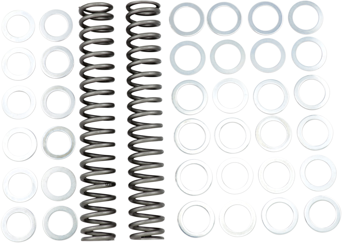 Race Tech FRSP S3825120 Chrome Silicon Steel Fork Spring - 1.20 kg/mm
