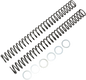 Race Tech FRSP 444542 Chrome Silicon Steel Fork Springs - 0.42 kg/mm, High Performance Suspension Component