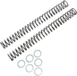Race Tech FRSP 444546 Chrome Silicon Steel Fork Springs - 0.46 kg/mm