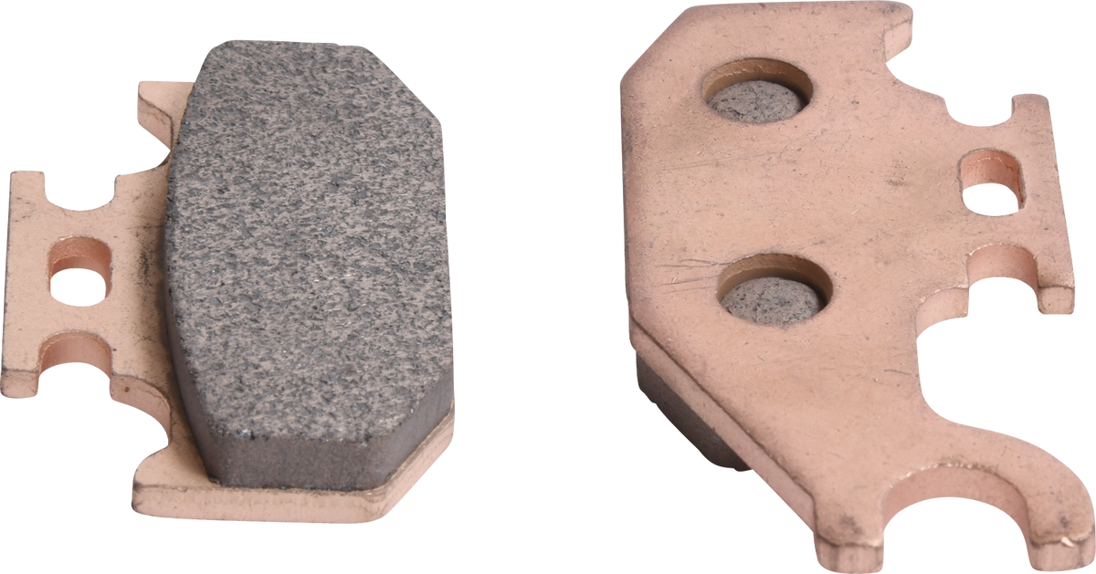 ALL BALLS Sintered Brake Pads - Right Rear 18-8051