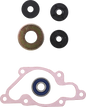 VERTEX Water Pump Repair Kit - Ski-Doo 721214
