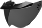 ICON MotoShield™ Shield - Domain™ - 22.06 - Dark Smoke 0130-1038