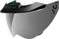 ICON MotoShield™ Shield - Domain™ - 22.06 - RST Silver 0130-1039