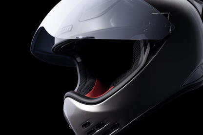 ICON Domain™ Helmet - Cornelius - Silver - XL 0101-14976