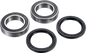 FACTORY LINKS Axle Bearing Kit - Rear - Arctic Cat/Kawasaki/Suzuki ARA-S-002