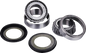 FACTORY LINKS Steering Rebuild Kit - Aprilia/BMW/Gas Gas SSK-G-015