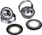 FACTORY LINKS Steering Rebuild Kit - Gas Gas/Rieju SSK-G-016