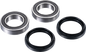 FACTORY LINKS Axle Bearing Kit - Rear - Yamaha ARA-Y-010