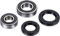 FACTORY LINKS Wheel Bearing Kit - Front Left/Right - Kawasaki KFX/Arctic Cat DVX/Suzuki QuadRunner/Racer/Sport AFW-S-001