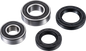 FACTORY LINKS Wheel Bearing Kit - Front Left/Right - Yamaha AFW-Y-003
