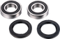 FACTORY LINKS Axle Bearing Kit - Rear - CF Moto ARA-F-001