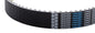 DAYCO POWER CARBON BELT