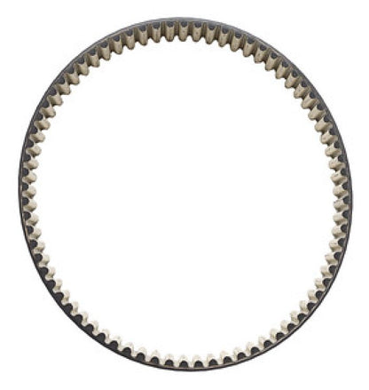 DAYCO POWER CARBON BELT