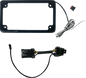 CUSTOM DYNAMICS Lighted License Plate Frame - Gloss Black - RZR Pro CD-LPF-RZRPRO