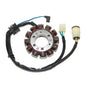 ELECTROSPORT LIGHTING STATOR HONDA TRX300