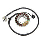 ELECTROSPORT LIGHTING STATOR TRX400R - HIGH POWER