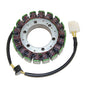 ELECTROSPORT STATOR DUCATI 749/999/1098/1198 - 017.1A
