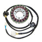 ELECTROSPORT STATOR SUZUKI VS800 (92-09)