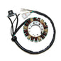 ELECTROSPORT LIGHTING STATOR YAMAHA