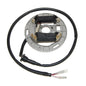 ELECTROSPORT LIGHTING STATOR SUZUKI LT80 (87-06)