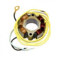 LIGHTING STATOR 6-POLE - 50W