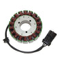 ELECTROSPORT STATOR VICTORY MODELS (02-06) - 4010436