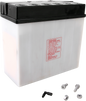 YUASA Battery YUAM2219A – High-Performance Lead-Acid Battery, Shipped Dry