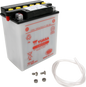 YUASA YB14-A2 YUAM2214HIND Lead-Acid Battery - High Power and Dry Shipped