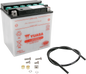 YUASA YB30L-B YUAM22H30TWN Lead-Acid Battery for Heavy-Duty Applications