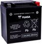 YUASA YIX30L AGM Battery - YUAM7230L, Sealed Absorbed Glass Mat Design for Reliable Power