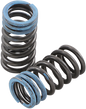 XCELDYNE PSIMX1905 Intake Valve Springs for Honda - High-Performance Titanium Valve Compatibility