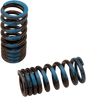XCELDYNE PSIMX2006 Intake Valve Springs for Honda - Low Drag Titanium Valves