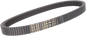 DAYCO PRODUCTS,LLC Drive Belt - XTX (Extreme Torque) - 1.440" (W) x 47.519" (OC) XTX5046