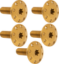 ARLEN NESS Bolt Kit - Holeshot/Front/Floating/Brake Rotor - Spoke Mount - Gold - 5 Pack 300-908