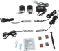 CUSTOM DYNAMICS Slimline Magical Wizards™ Lights - Standard TMWZ07