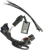 CUSTOM DYNAMICS Strobe Module - Scout MAGSTROBESSCOUT