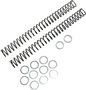 Race Tech FRSP 434640 Chrome Silicon Steel Fork Springs - 0.40 kg/mm