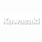 FX 2015 1' DIE-CUT STICKERS KAWASAKI (WHITE)