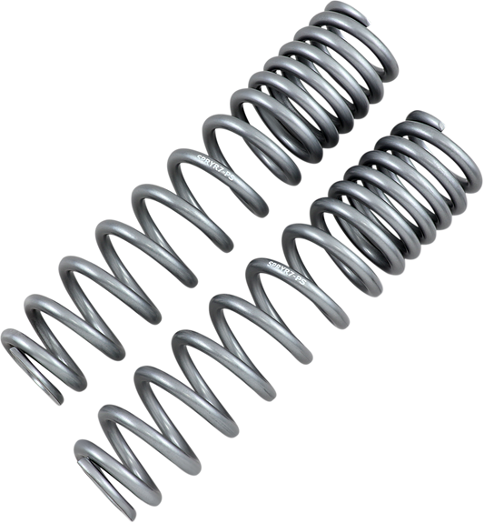 HIGH LIFTER Rear Shock Springs Silver 79-13869 – Heavy-Duty Suspension Enhancement
