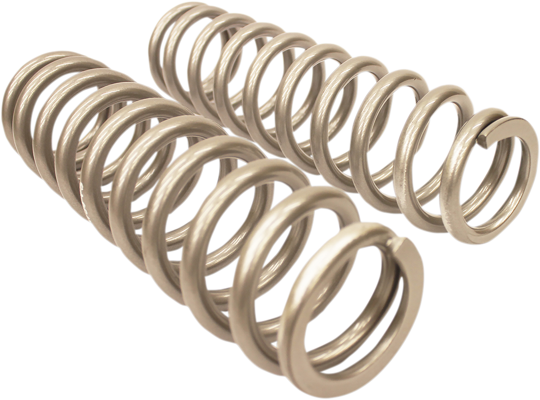 HIGH LIFTER Rear Shock Springs 79-13843 - Silver for Heavy-Duty Load Support