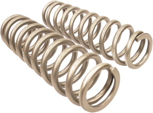 HIGH LIFTER Rear Shock Springs 79-13843 - Silver for Heavy-Duty Load Support