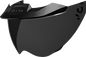 ICON MotoShield™ Shield - Domain™ - Limo Black 0130-1325
