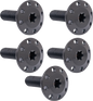 ARLEN NESS Bolt Kit - Holeshot/Front/Floating/Brake Rotor - Spoke Mount - Black - 5 Pack 300-921