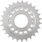 ARLEN NESS Front Sprocket - 27 Tooth - FLT/FLH 300-202