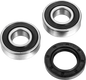 FACTORY LINKS Wheel Bearing Kit - Front - Suzuki DL/SV 650 FWK-S-071