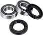 FACTORY LINKS Wheel Bearing Kit - Front - '20-'24 Suzuki V-Strom 1050 FWK-S-073